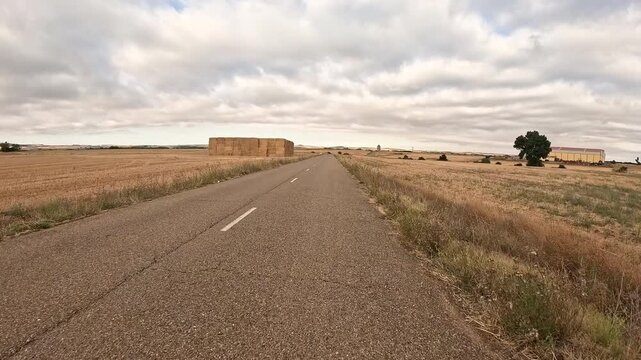 paved road on a summer landscape near Itero del Castillo, comarca of Odra-Pisuerga, province of Burgos, Castile and Leon, Spain