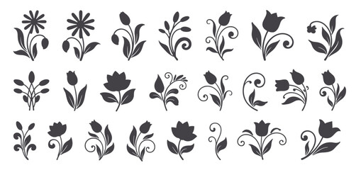 Fototapeta premium Collection of floral and botanical silhouette elements