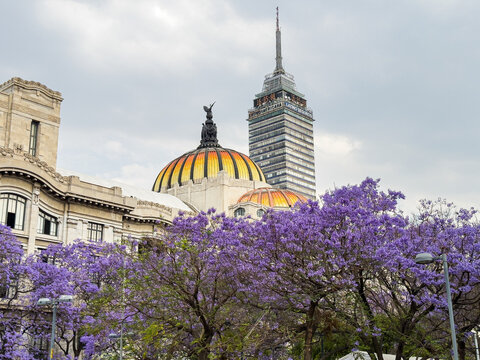 Mexico City, Mexico - March 19, 2024. View on Bellas Artes and Torre Lationamericana of Alameda Central Park