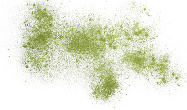Young barley or wheat grass, green powder flying, isolated on white background, clipping path