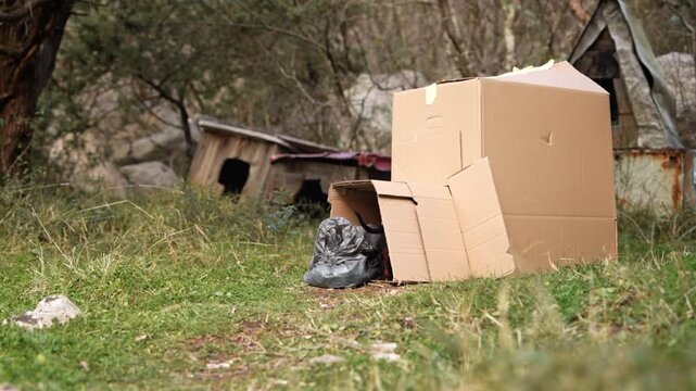 A small dachshund dog in a balaclava and a T-shirt drags a bag into a paper kennel, in the background are village barns and trees, outdoors