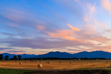 Obraz premium 夕焼けと十勝の畑