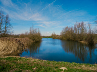 Fototapeta premium Calm pond with reed beds reflecting wind turbine and bare trees in Dutch polder landscape
