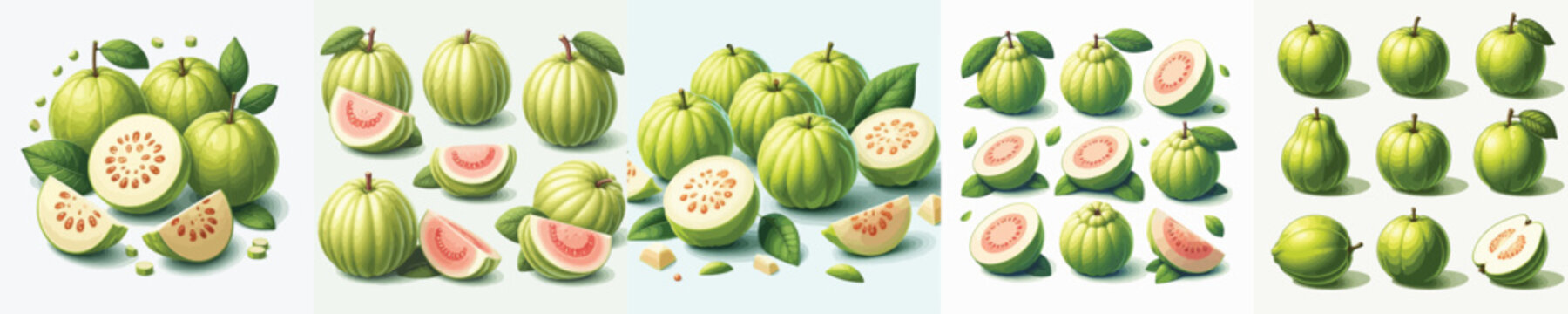 Guava Fruit Vector Illustration Collection