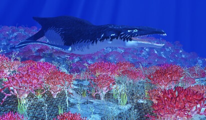 Liopleurodon Carnivorous Plesiosaur - Liopleurodon was a carnivorous marine plesiosaur that lived in the Jurassic seas of Europe and Canada. © Catmando