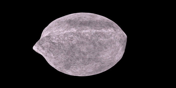 Thebe Jupiter Moon - Thebe is one of the four known small moons that orbit closer to Jupiter than the four vastly larger Galilean moons.