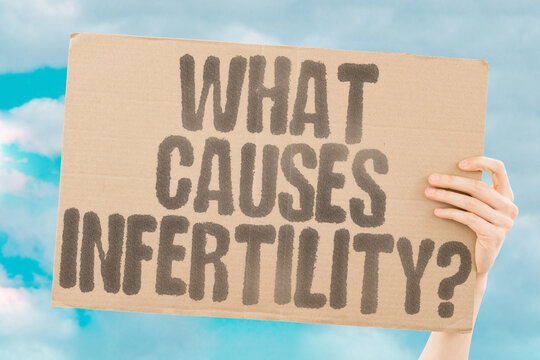 "What Causes Infertility?" Infertility in women can result from hormonal issues, structural conditions, or lifestyle factors. INFERTILITY. CAUSE. WOMEN. HORMONAL. HEALTH.
