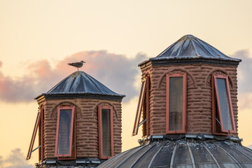 Seagull perched on historic rooftop turret at sunset in Istanbul © ZMD-Design