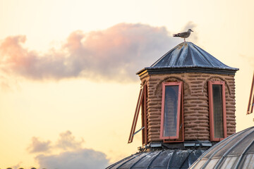 Seagull perched on historic rooftop turret at sunset in Istanbul © ZMD-Design