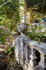 Naklejka premium Old ruined abandoned overgrown mansion