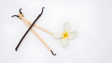 Obraz premium Vanilla sticks and flower on white background