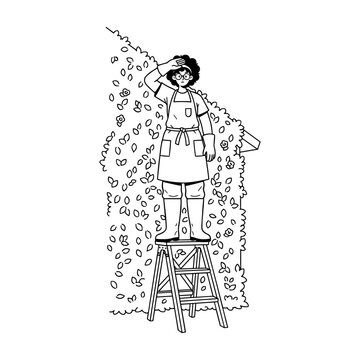 Hand drawn illustration of a female gardener on a ladder pausing after trimming hedge.