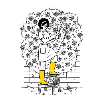 Hand drawn style illustration of a woman gardener pruning rose bushes in a backyard.
