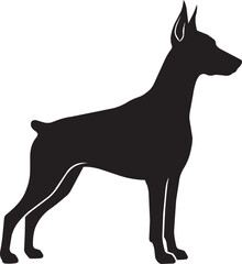 Doberman Pinscher silhouette standing alert, portraying strength and elegance in a clean vector graphic