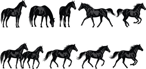 Black Horse Silhouette Set with Running, Walking, Grazing and Standing Stallion Poses Vector Illustration Collection © Selim Studio