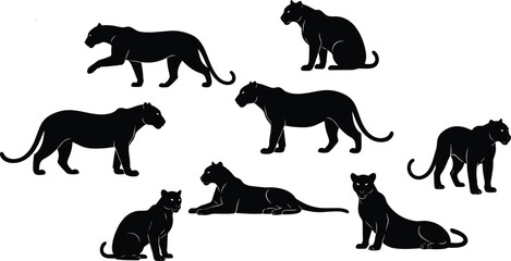 Black panther silhouette vector set, wild cat silhouettes isolated on white, leopard and jaguar hunting poses, predatory feline animal graphic icons © VactorZone
