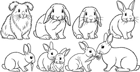 Obraz premium A collection of charming domestic rabbits showcasing diverse and postures