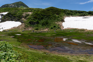 &ldquo;Blood Pond&rdquo; turned red by iron oxide at Mt. Tateyama in Japan