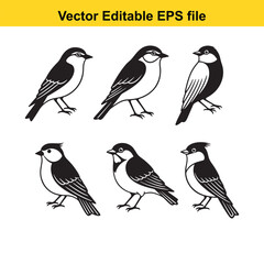 Fototapeta premium Black and White Bird Illustrations Set on White Background