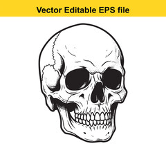 Obraz premium Human Skull Vector Illustration on White Background
