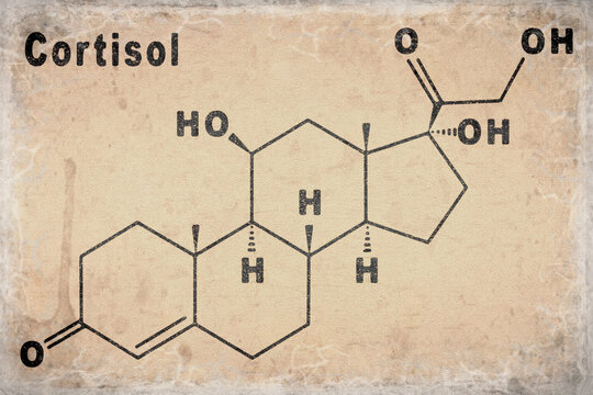Cortisol Hormone Structural chemical formula