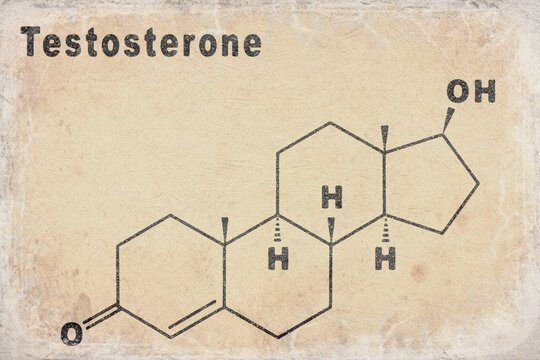 Testosterone Hormone Structural chemical formula