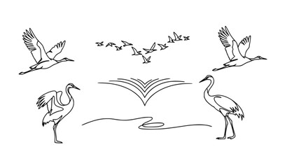 A minimalist vector graphic illustration of cranes and birds in flight, depicted in a simple line art style.