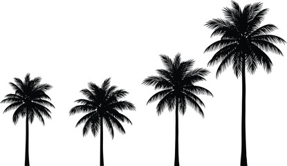 Obraz premium Set of black palm tree silhouettes in different heights and sizes on white background for tropical summer travel and vacation designs