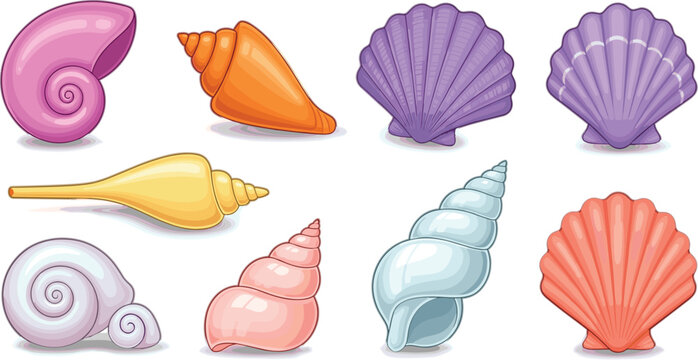 Colorful seashell collection vector illustration featuring spiral and scallop shells in glossy cartoon style isolated on light background