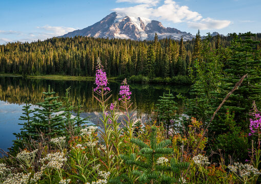 lake in the mountains