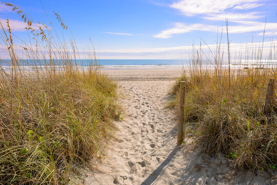 A small sandy path surrounded by sea grass allowing beach access to the dunes along the Grand Strand at North Myrtle Beach, South Carolina.