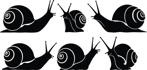 Snail Silhouette Set Garden Snail Mollusk Vector Collection Crawling Snails Isolated on White © Monteza
