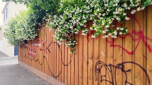 Wooden garden fence vandalised with graffiti or spray-painted markings along a suburban street in Melbourne, Australia. Concept of antisocial behaviour, community issue and public concern.