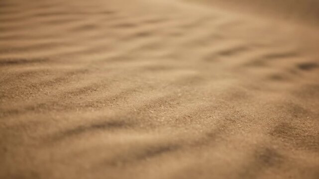 Intricate patterns of wind-swept sand dunes creating a textured natural surface with subtle light and shadow play.