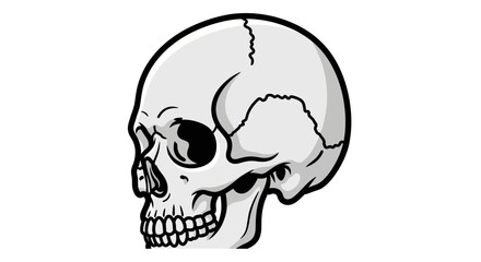 Human Skull Side View Illustration. © Untung