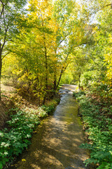 Obraz premium Autumn Landscape of South Park in city of Sofia, Bulgaria