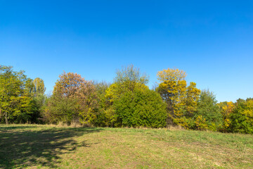 Autumn Landscape of South Park in city of Sofia, Bulgaria