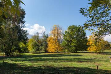 Fototapeta premium Autumn Landscape of South Park in city of Sofia, Bulgaria