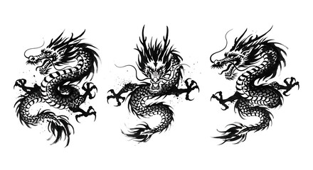 Fototapeta premium Three stylized grayscale illustrations of majestic dragons in dynamic poses on a white background