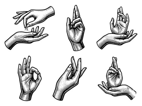 Elegant collection of hand-drawn gestures in a vintage woodcut style. Detailed black and white ink illustrations of hands showing symbolic mudras, spiritual signs, and expressive poses.