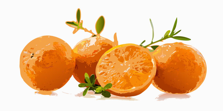 A vibrant illustration of fresh oranges and a cut orange segment