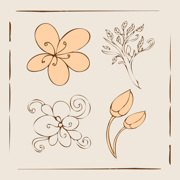 Hand-drawn botanical illustrations featuring delicate flowers and organic floral motifs in a serene, earthy color palette