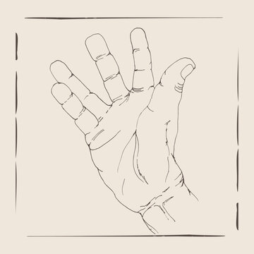 A stylized line drawing of an open hand with fingers spread, presented in a vintage, artistic aesthetic