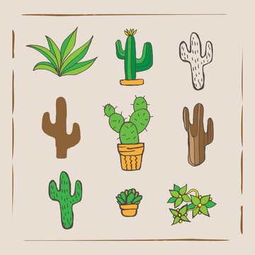 Set of diverse potted and desert plants in a handmade organic illustration style, featuring various cacti and succulents