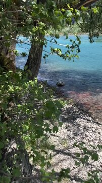 Swiss River Linth Switzerland small pebble stones shore in the summer, vertical format video