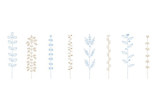 マメやカタバミ等の植物をイメージした手描きの線画イラストセット1（青と茶色）