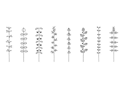 マメやカタバミ等の植物をイメージした手描きの線画イラストセット2（黒）