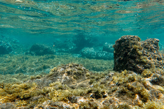 Sunlight refracting through clear turquoise water onto a rocky volcanic reef on Pr&iacute;ncipe Island, S&atilde;o Tom&eacute; and Pr&iacute;ncipe.