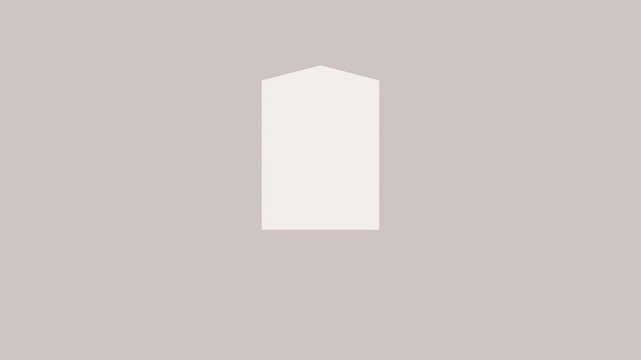 Minimal Vertical Hexagon Frame Wipe Transition