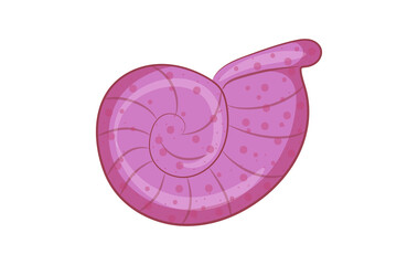 Close-up of a Pink Snail Shell Illustration